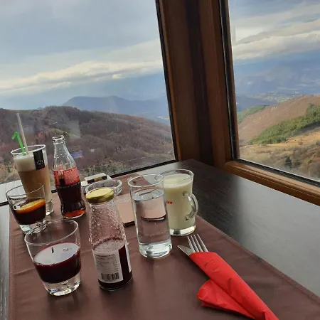 Sladjana Premier 12 Milmari كوباونيك